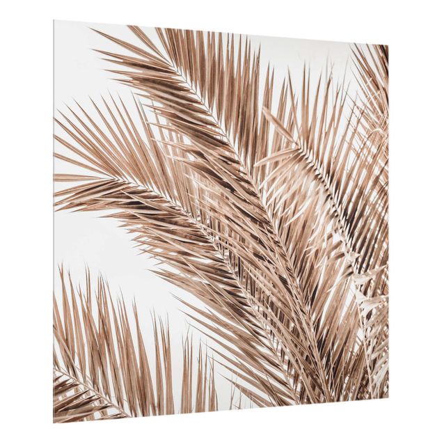 Fond de hotte verre Feuilles de palmier couleur bronze