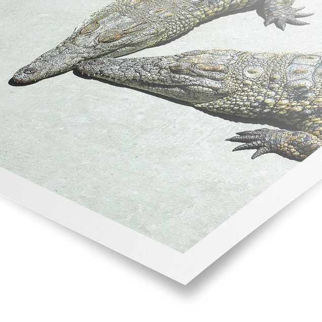 Tableaux muraux Romance de crocodile