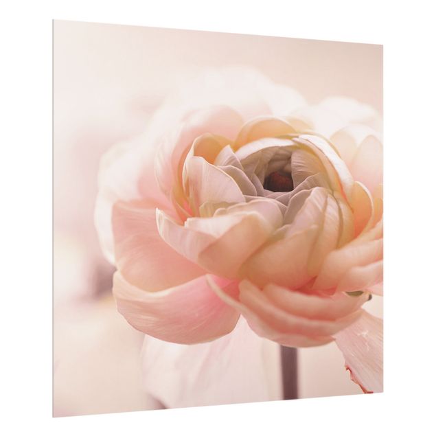 crédence cuisine en verre Focus sur une fleur rose pâle