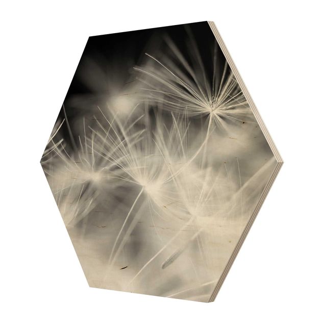 Hexagone en bois - Moving Dandelions Close Up On Black Background