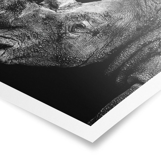 Tableaux noir et blanc Duel de rhinocéros