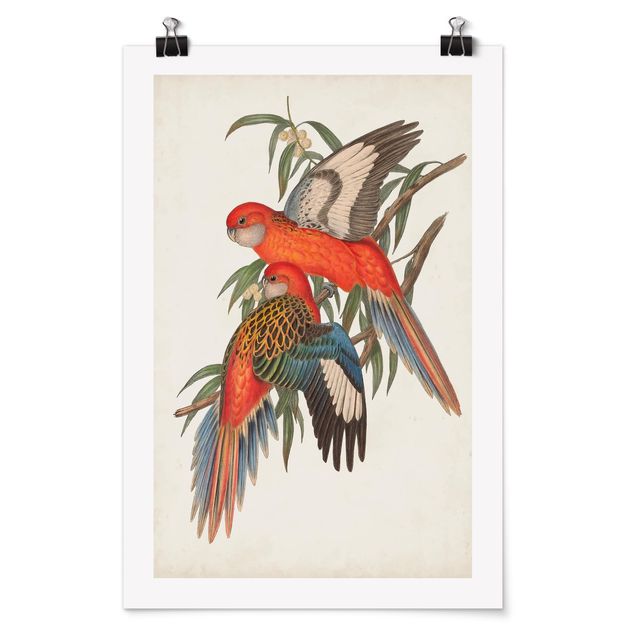 Tableaux animaux Tropical Parrot I