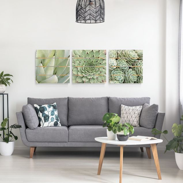 Tableau décoration Trio d'agaves et de succulentes
