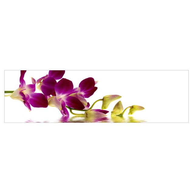 Revêtement mural cuisine - Pink Orchid Waters