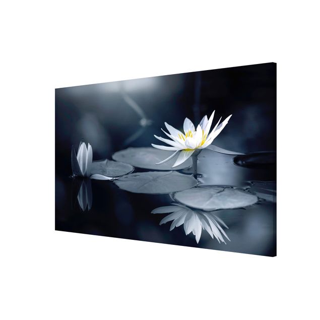 Tableau moderne Reflet de lotus dans l'eau