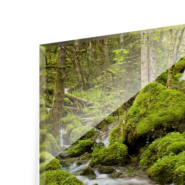 Tableau verre paysage Pierres moussues en Suisse