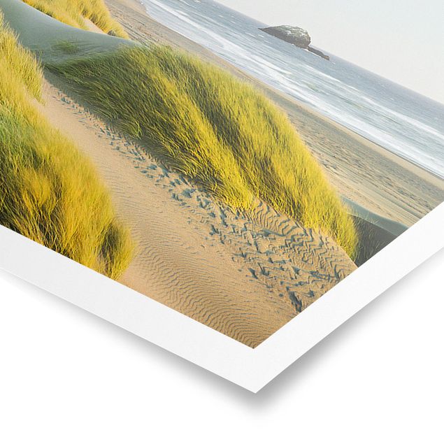 Tableau bord de mer Dunes et herbes à la mer
