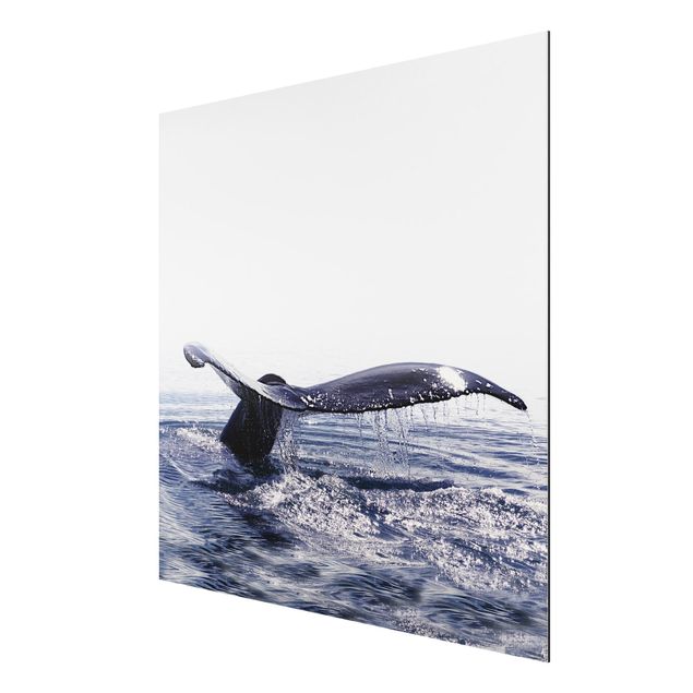 Tableaux animaux Chant de baleine en Islande
