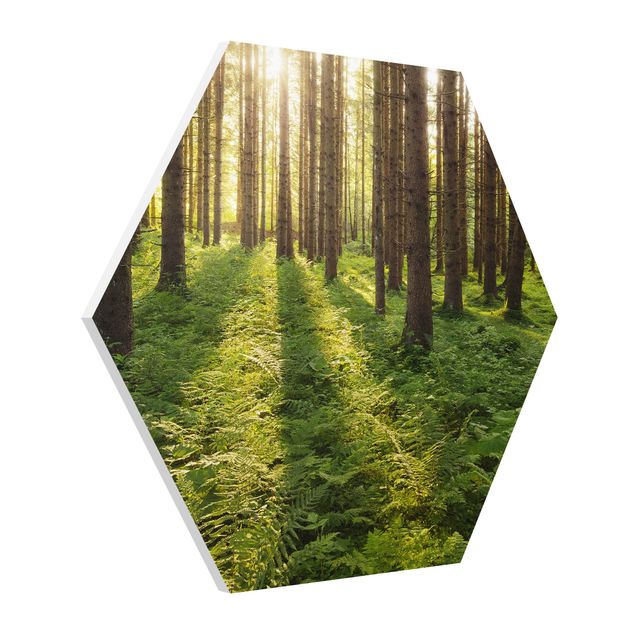 Tableau moderne Rayons de soleil dans une forêt verte