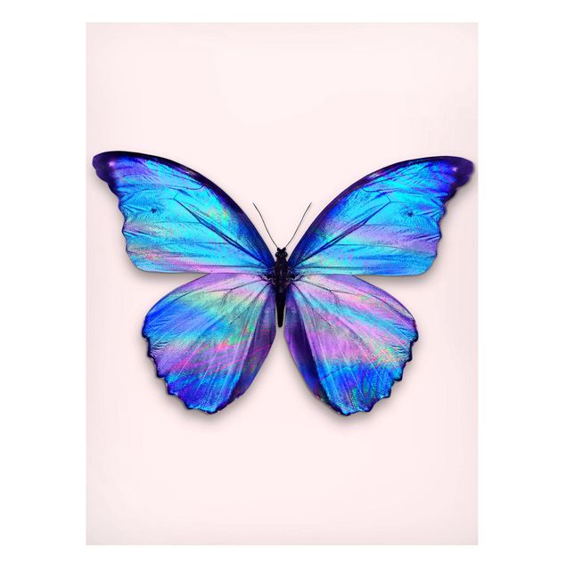 Tableaux papillons Papillon Holographique