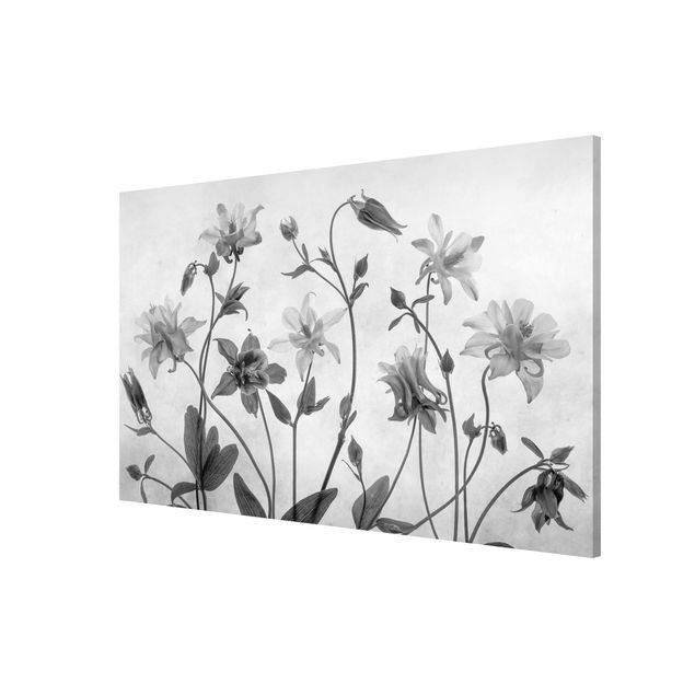 Tableaux modernes Forest Aquilegia Black And White