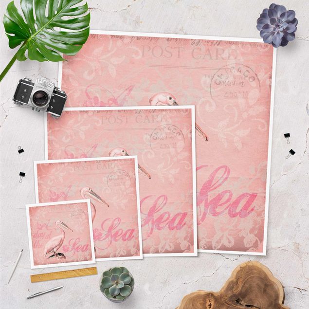 Poster - Shabby Chic Collage - Pelikan