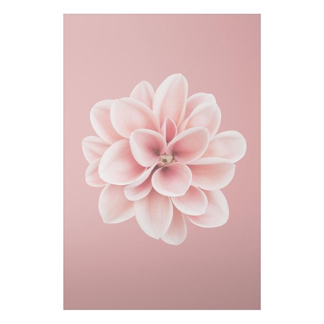 Tableau moderne Fleur Dahlia Rose Blush Centré