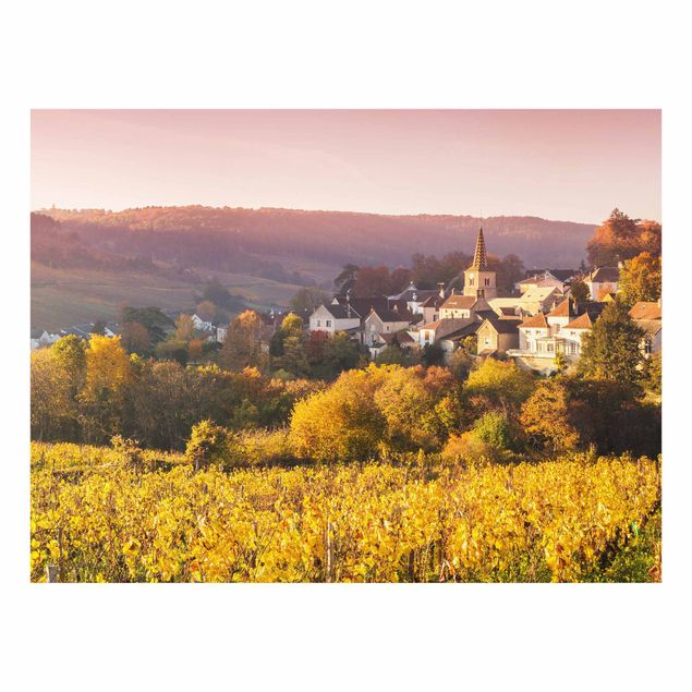 Fond de hotte - Vineyards In France - Format paysage 4:3