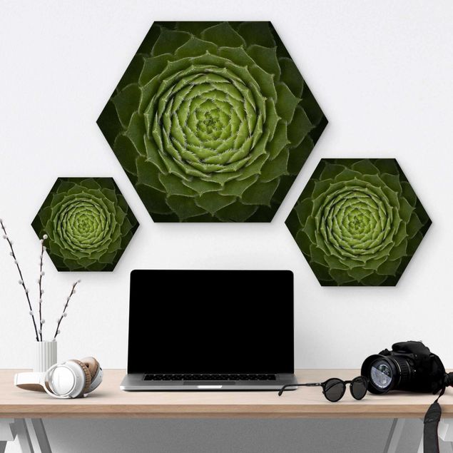 Hexagone en bois - Mandala Succulent