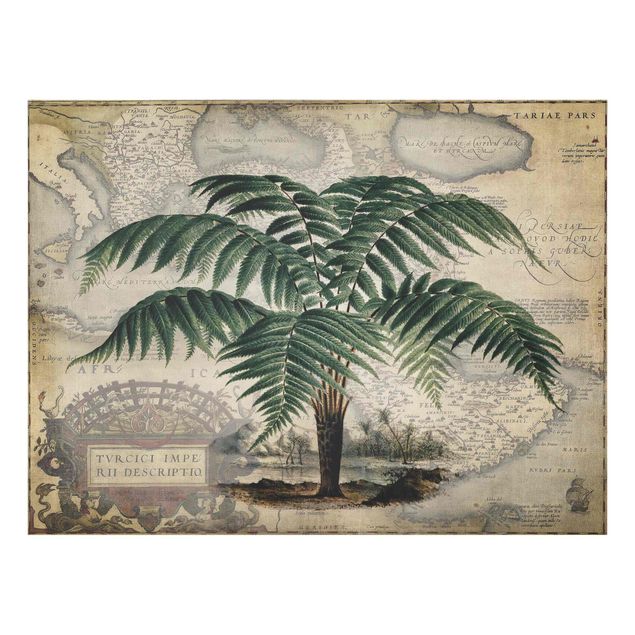 Tableaux de Andrea Haase Collage Vintage - Palmier et carte du monde