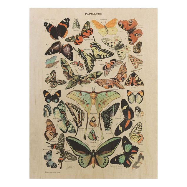 Tableau vintage bois Tableau Vintage Papillons et phalènes