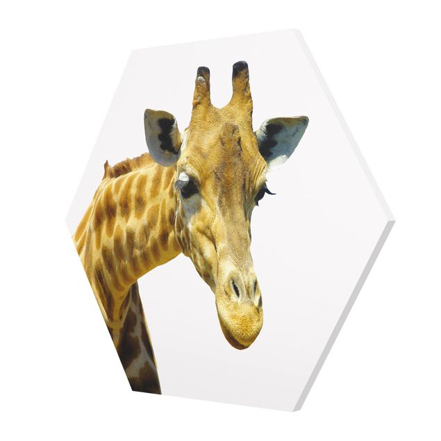 Tableaux No.21 Girafe Piqueuse
