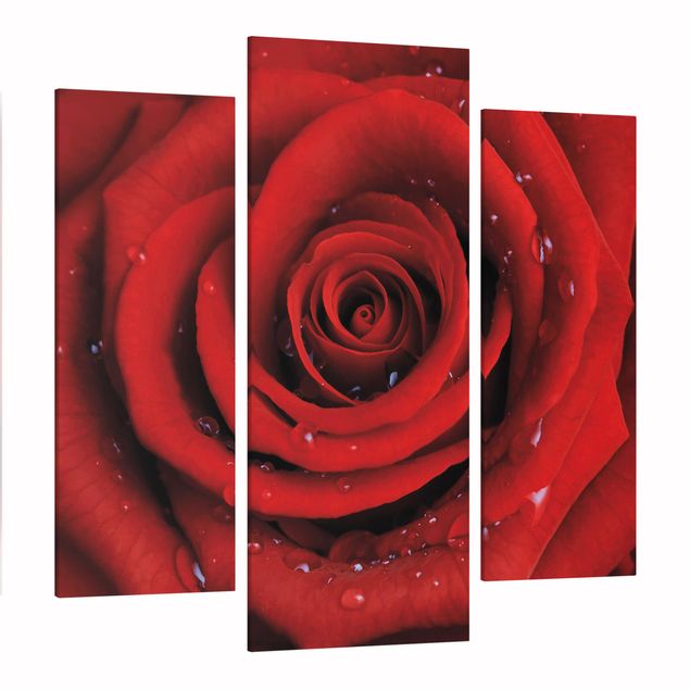 Tableaux fleurs Rose rouge avec gouttes d'eau