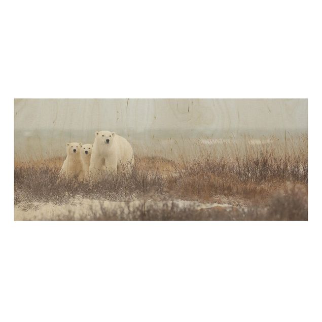 Tableaux muraux Ours polaire et ses petits