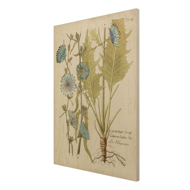 Tableau vintage bois Botanique vintage en bleu endive