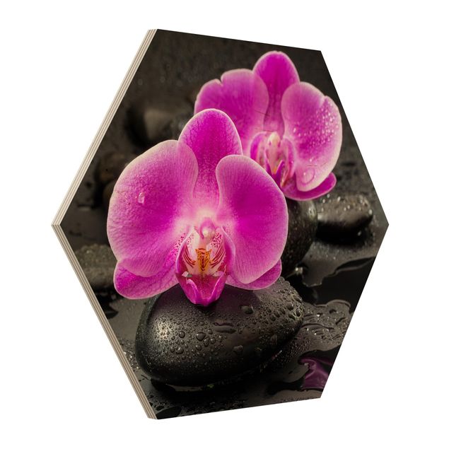 Tableaux modernes Fleur Orchidée Rose sur Pierres avec Gouttes