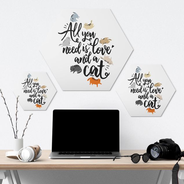 Hexagone en alu Dibond - All You Need Is Love And A Cat
