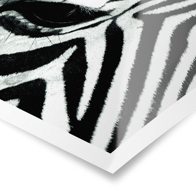 Tableaux noir et blanc Zebra Crossing