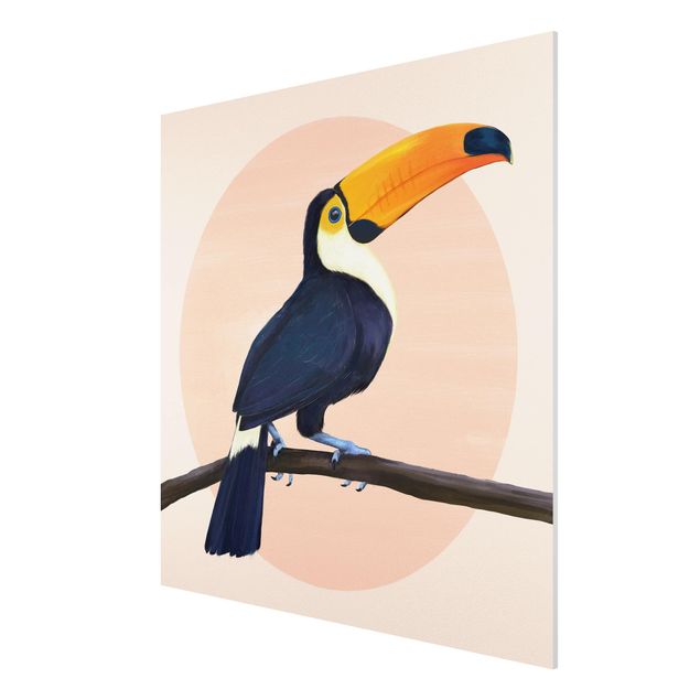 Cadre animaux Illustration Oiseau Toucan Peinture Pastel