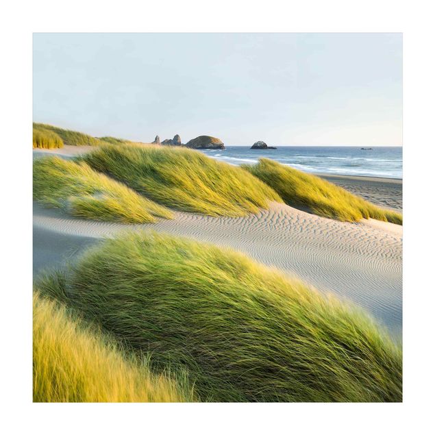 tapis vert Dunes et herbes à la mer