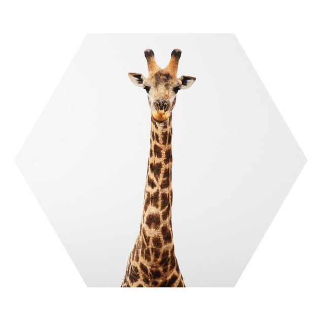 Tableaux Tête de girafe