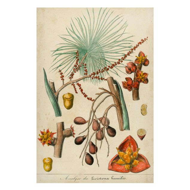 Tableaux magnétiques avec fleurs Tableau Vintage Palmiers exotiques III