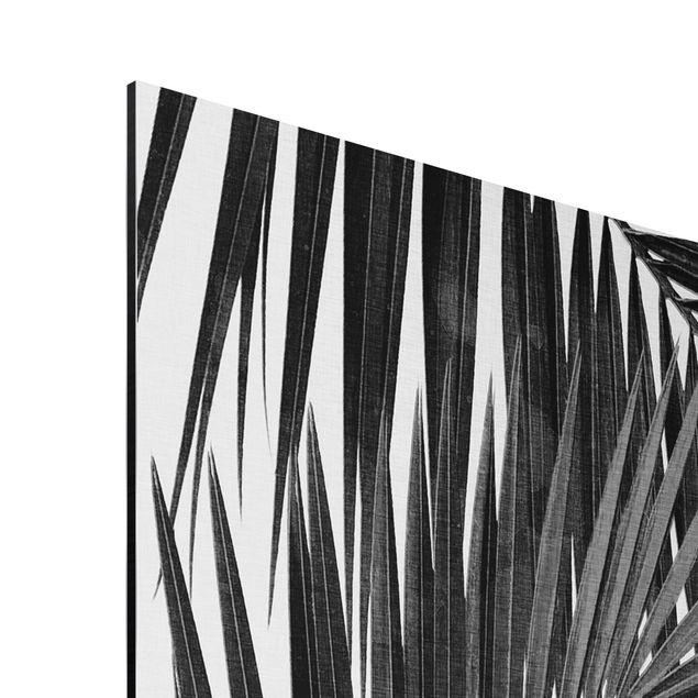 Tableau deco nature Vue sur des feuilles de palmier noir et blanc
