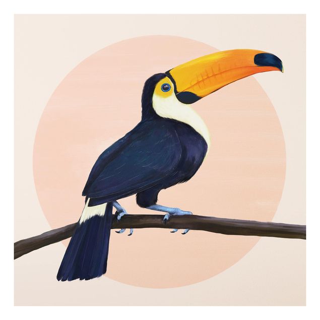 Déco mur cuisine Illustration Oiseau Toucan Peinture Pastel