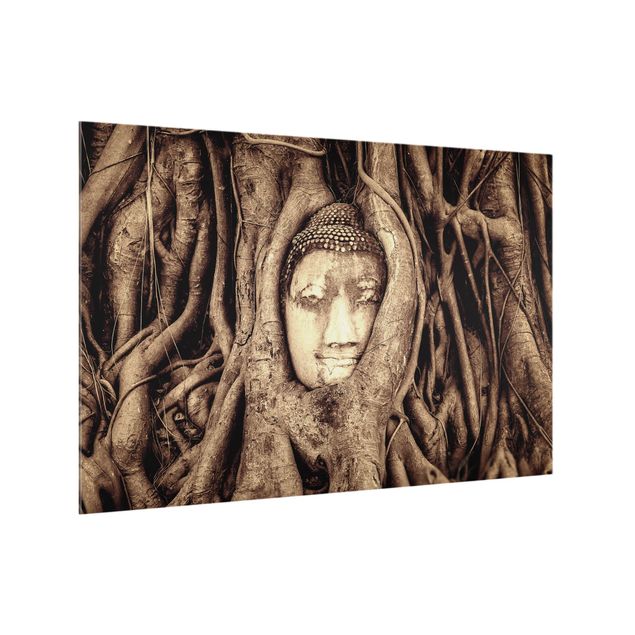 Fond de hotte verre Bouddha d'Ayutthaya doublé de racines d'arbre en brun