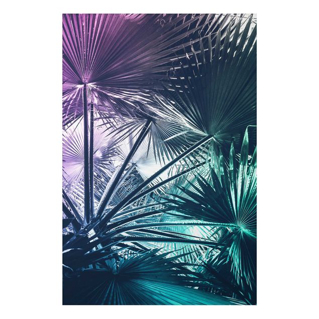 Tableau paysage Plantes Tropicales Palmiers Feuille En Turquoise IIl
