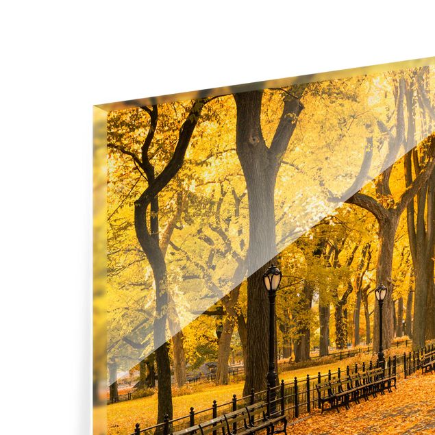 Fonds de hotte - Autumn In Central Park - Format paysage 2:1