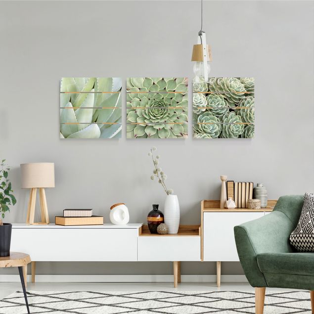 Tableaux en bois avec fleurs Trio d'agaves et de succulentes