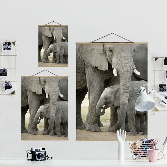 Tableaux gris Elephant Love