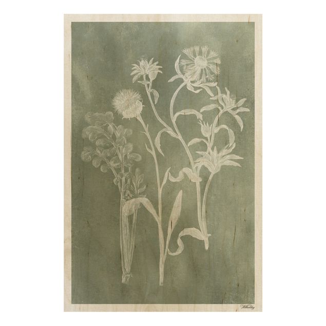 Tableaux en bois avec fleurs Illustration vintage Sauge II