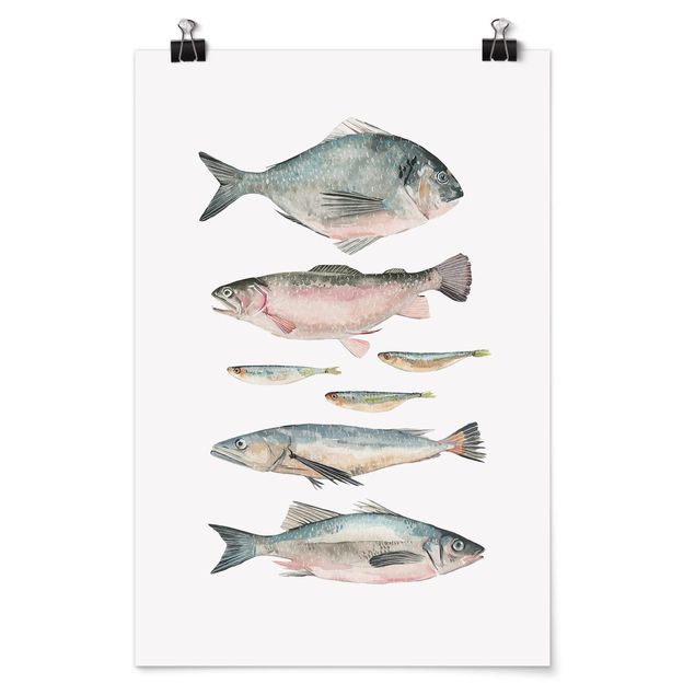 Tableaux animaux Sept poissons à l'aquarelle II