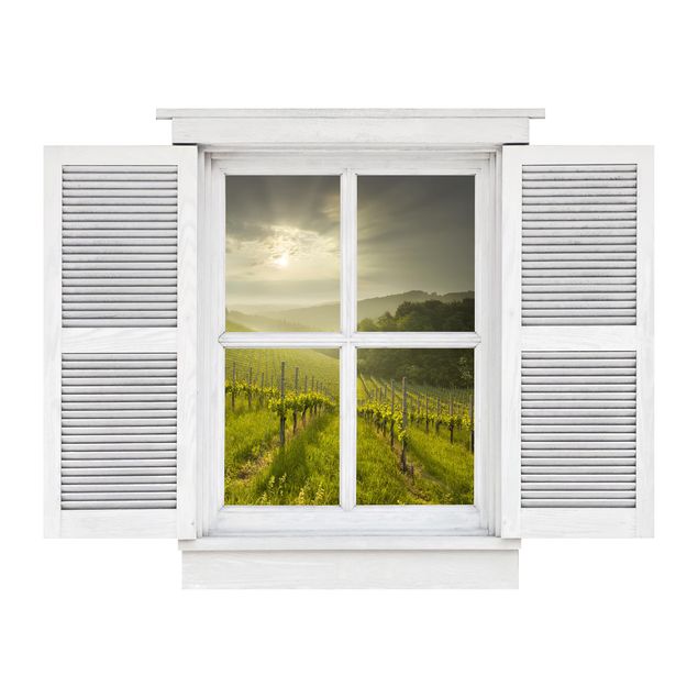 Tableaux de Rainer Mirau Fenêtre à battant Rayons de soleil dans un vignoble