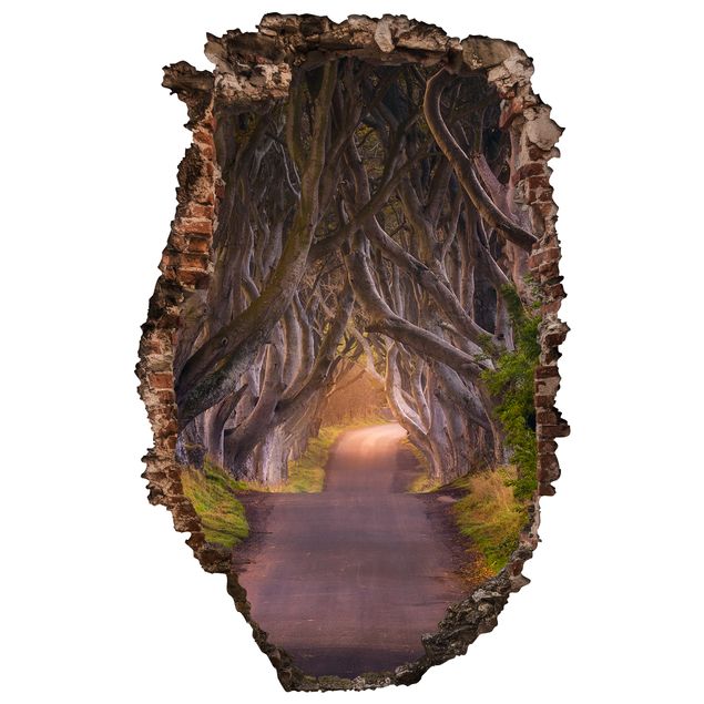 Stickers muraux 3d Tunnel d'arbres