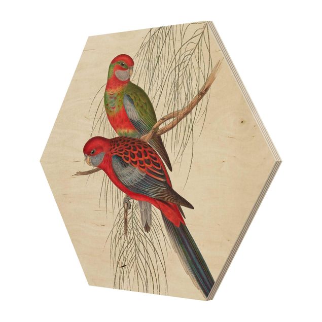 Hexagone en bois - Tropical Parrot III