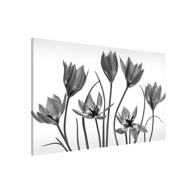 Déco murale cuisine Seven Tulips Black And White