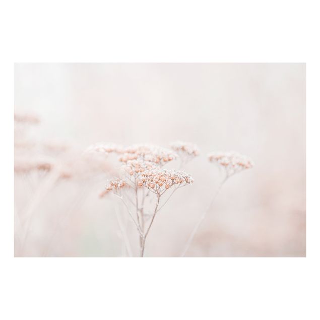 Fonds de hotte - Pale Pink Wild Flowers - Format paysage 3:2