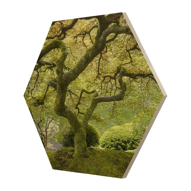 Hexagone en bois - Green Japanese Garden
