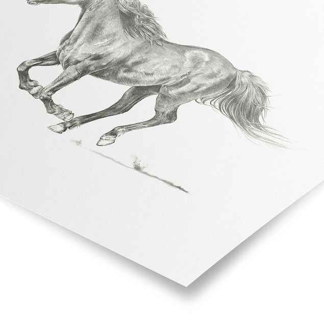Tableau moderne Cheval sauvage - Jument