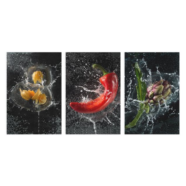 Tableaux fleurs Poivre artichaut Physalis Splash