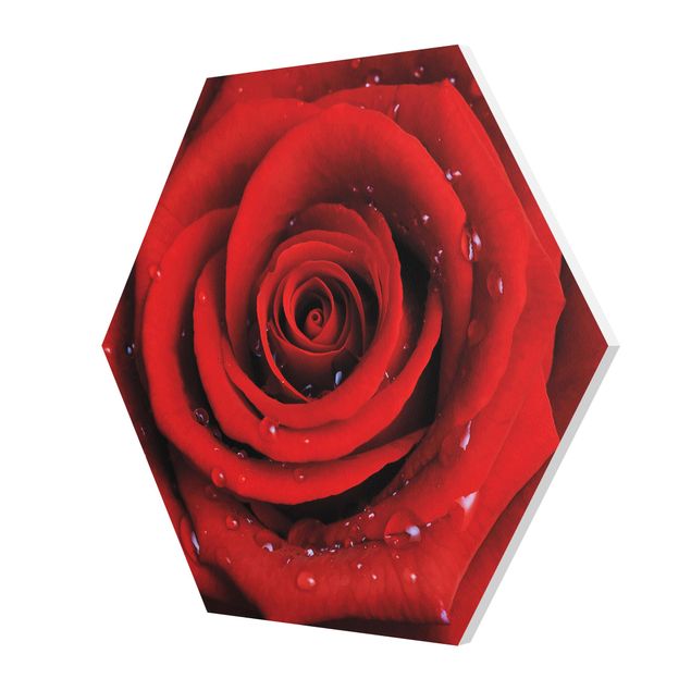 Tableau dominante rouge Rose rouge avec gouttes d'eau